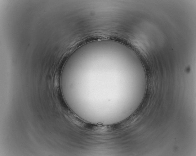 X0000090700131200707200937
