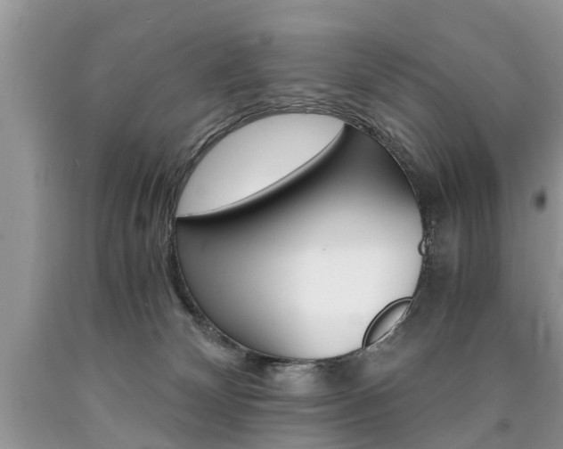 X0000090700132200707200937