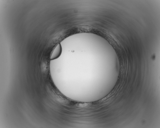 X0000090700134200707200937
