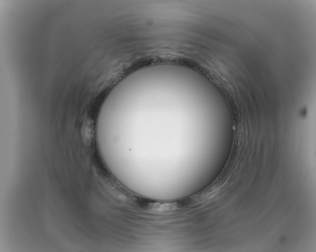 X0000090700135200707200937