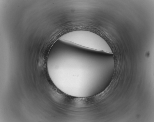 X0000090700136200707200937