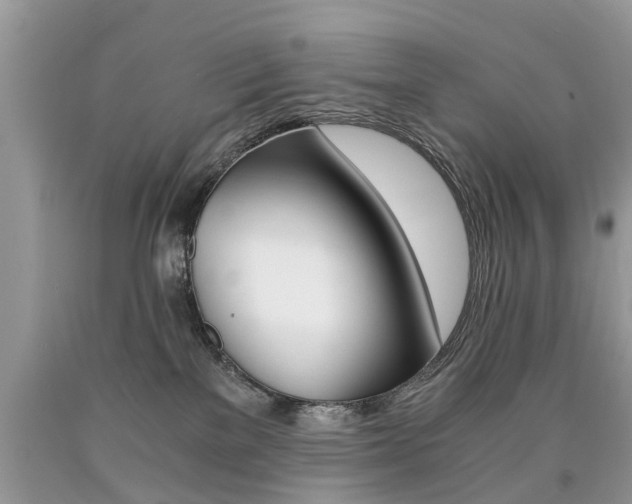 X0000090700137200707200937