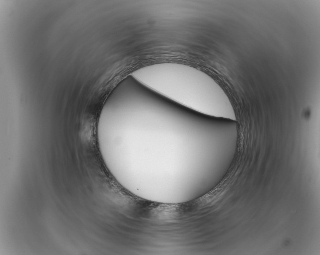 X0000090700138200707200937