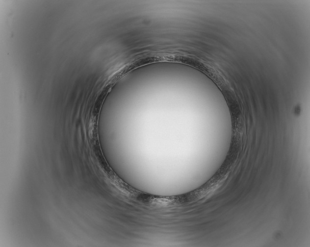 X0000090700139200707200937