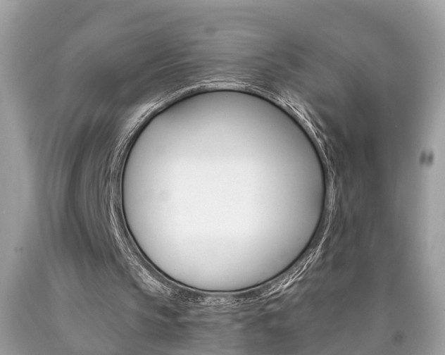 X0000090700145200707200936
