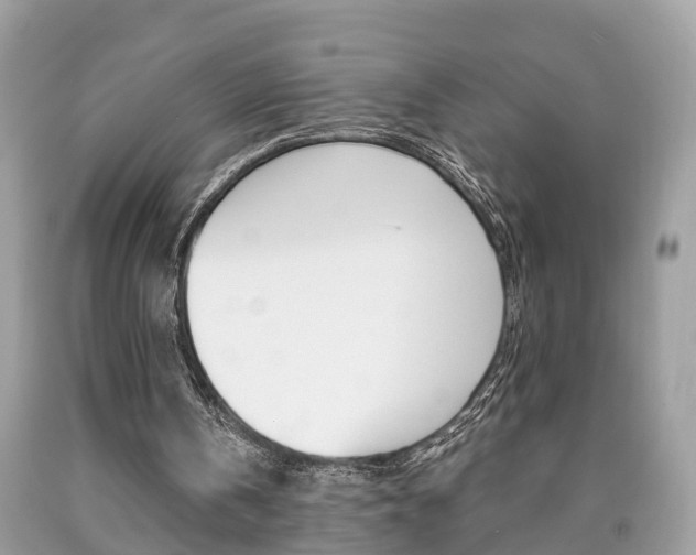 X0000090700146200707200936