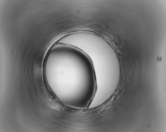 X0000090700148200707200936
