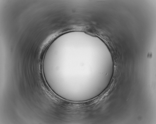 X0000090700149200707200936