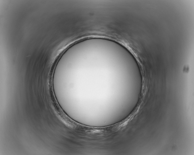 X0000090700151200707200936
