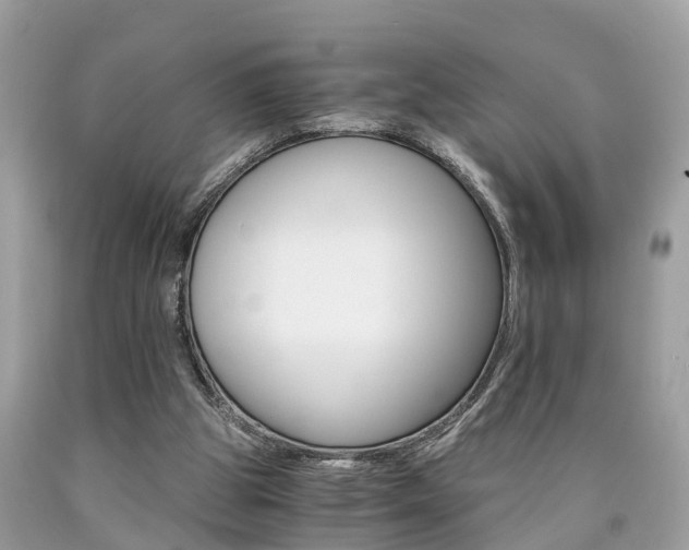 X0000090700153200707200936
