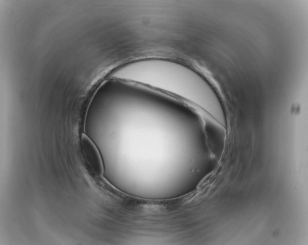 X0000090700154200707200936