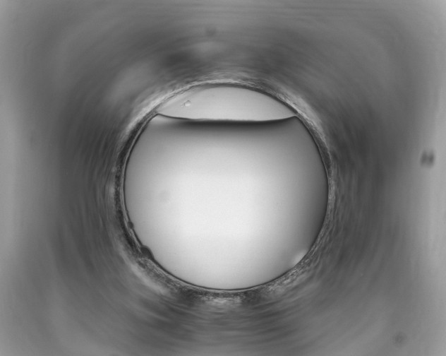 X0000090700155200707200936