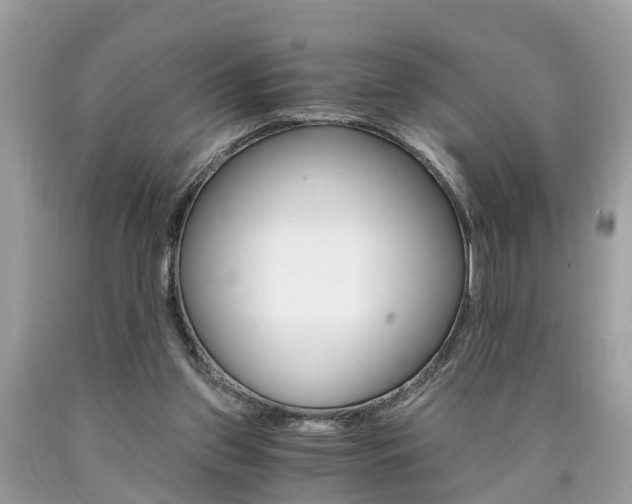 X0000090700157200707200936
