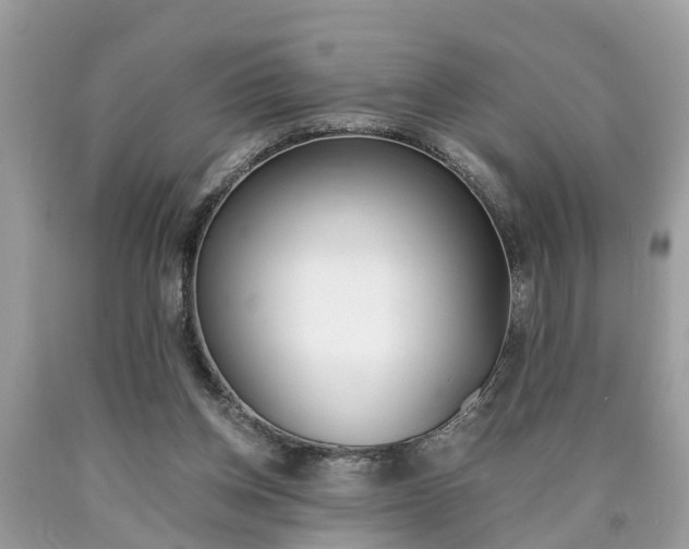 X0000090700158200707200936
