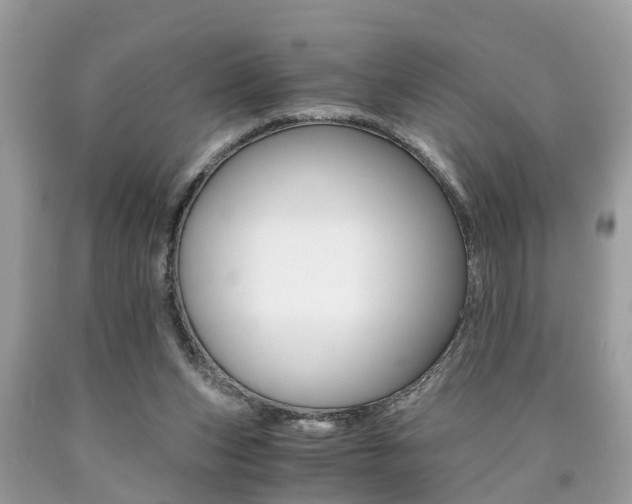 X0000090700159200707200936