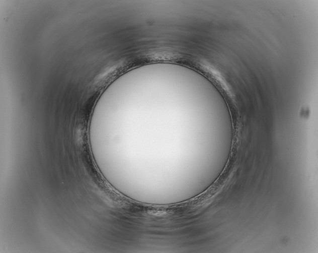 X0000090700161200707200936
