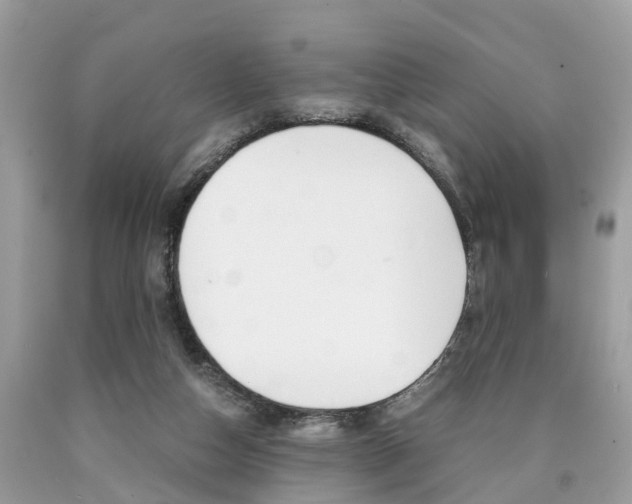 X0000090700162200707200936