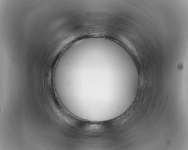 X0000090700163200707200936