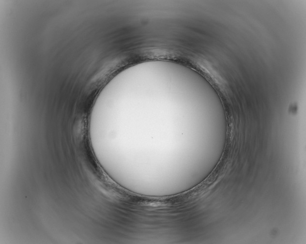X0000090700165200707200936