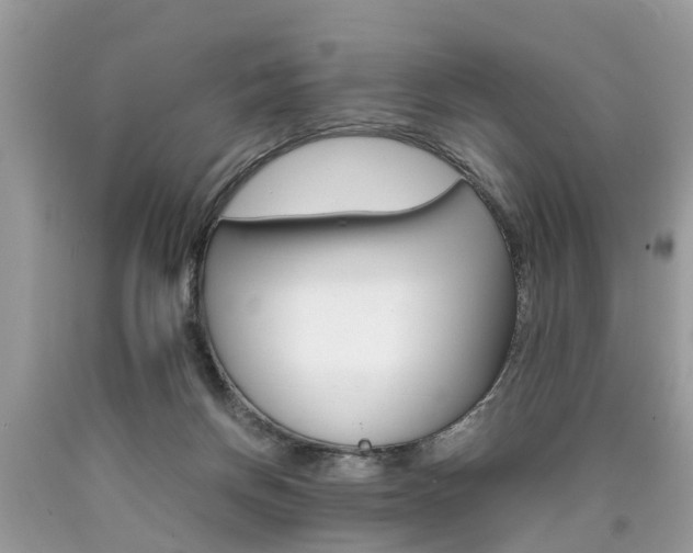 X0000090700166200707200936