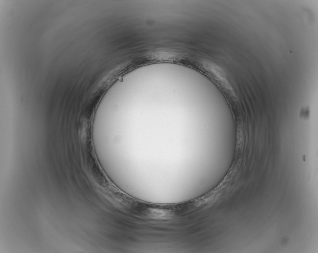 X0000090700167200707200936