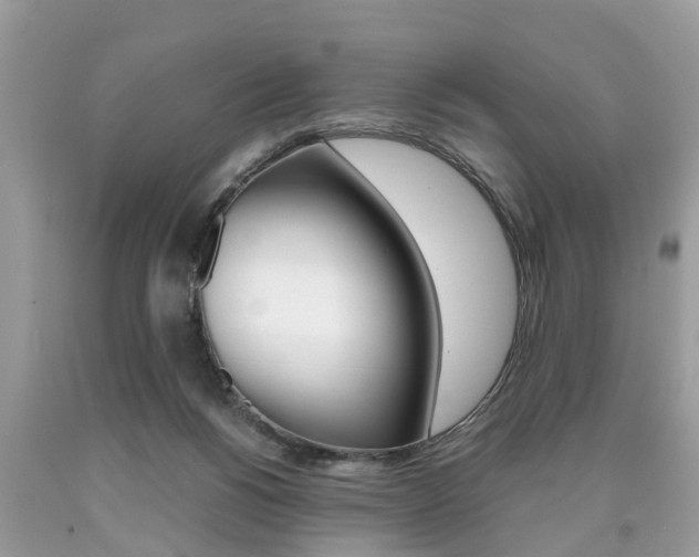 X0000090700168200707200936