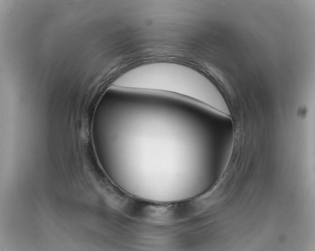 X0000090700170200707200937