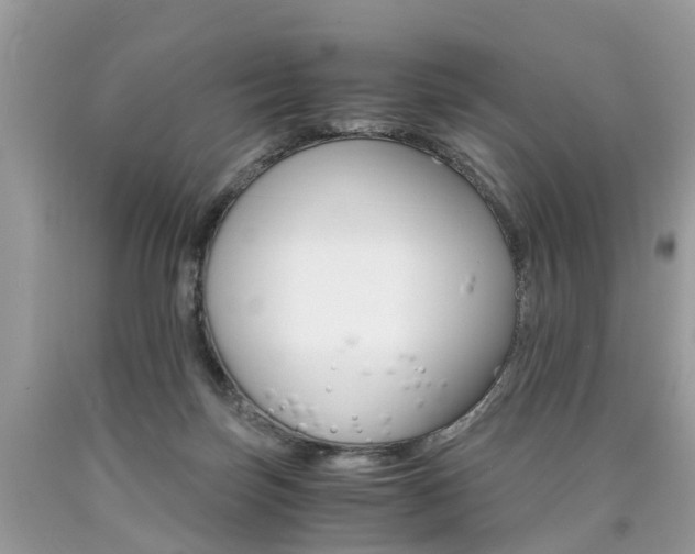 X0000090700171200707200937