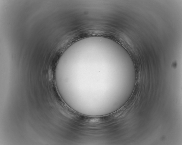 X0000090700173200707200937