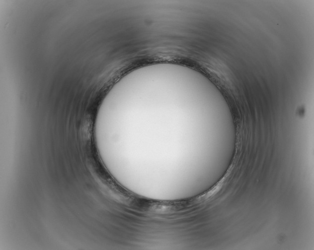 X0000090700174200707200937