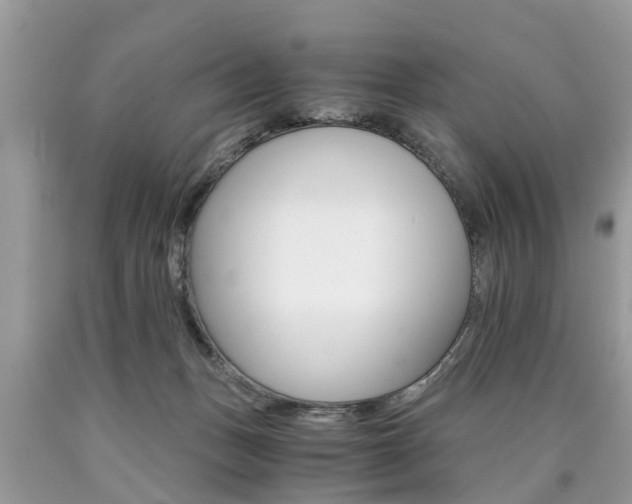 X0000090700175200707200937