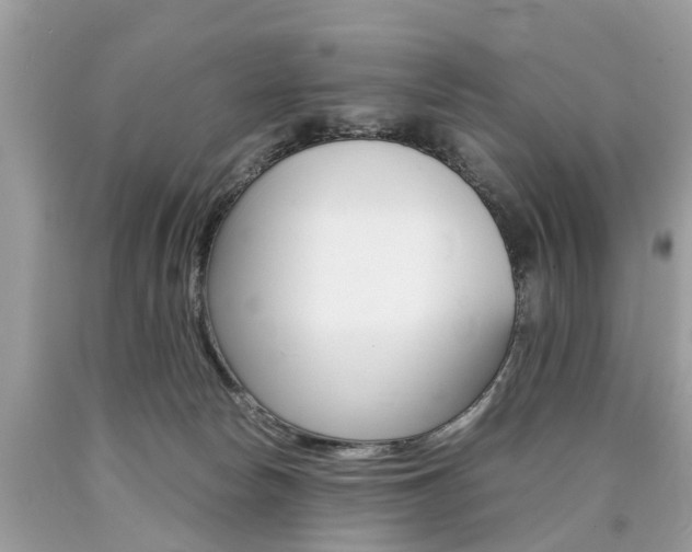 X0000090700178200707200937
