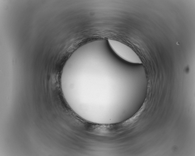 X0000090700182200707200937