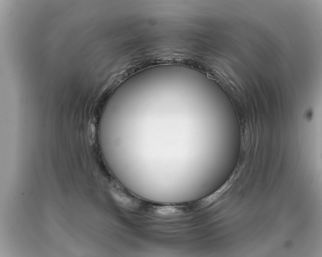 X0000090700183200707200937