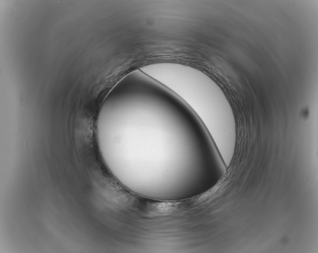 X0000090700184200707200937