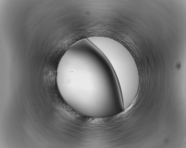 X0000090700186200707200937
