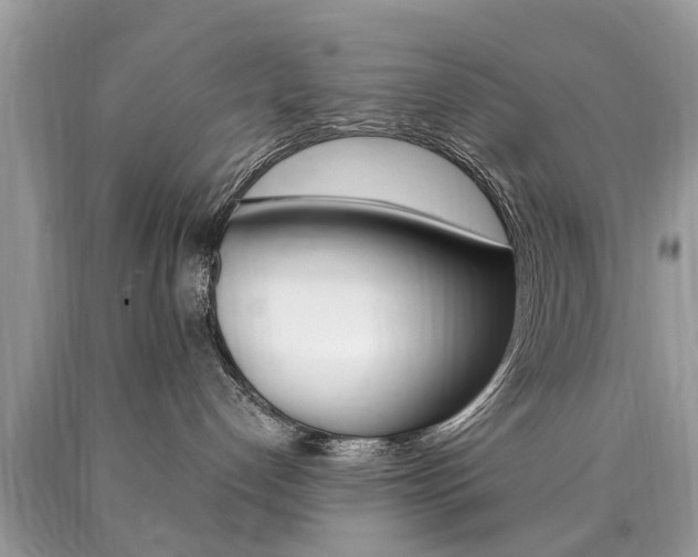 X0000090700192200707200937