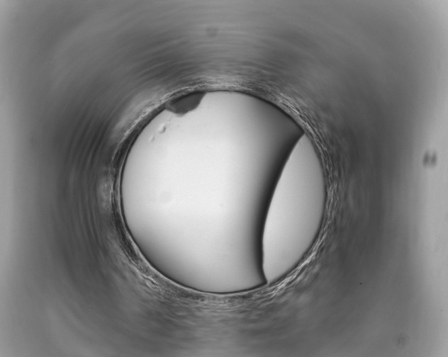 X0000090700194200707200936
