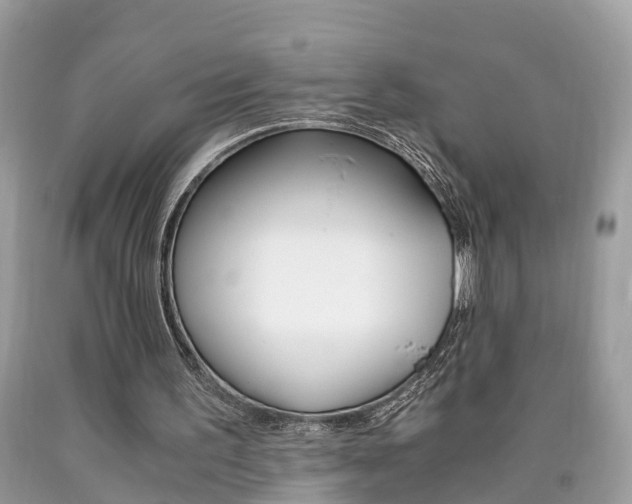 X0000090700195200707200936