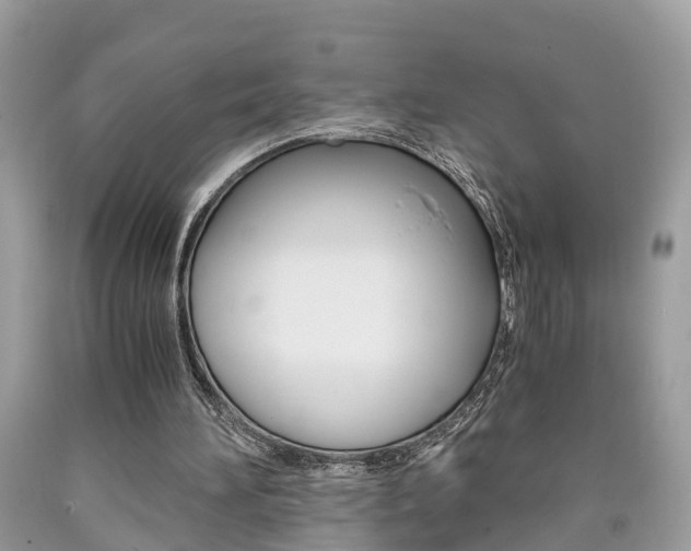X0000090700196200707200936