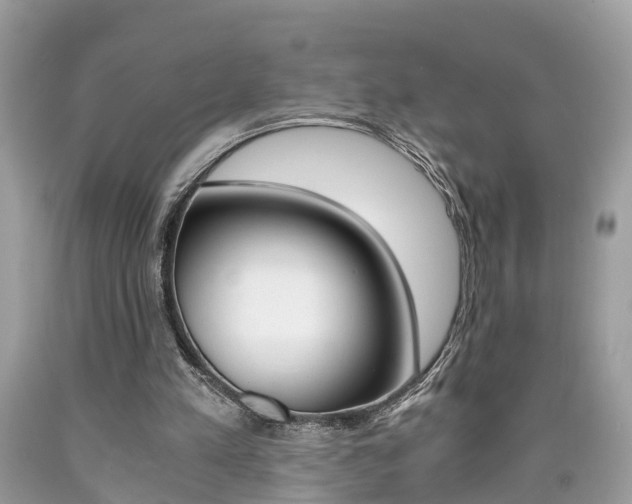 X0000090700197200707200936