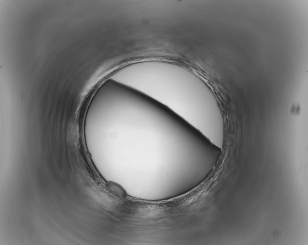 X0000090700198200707200936