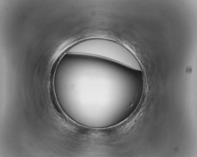 X0000090700199200707200936