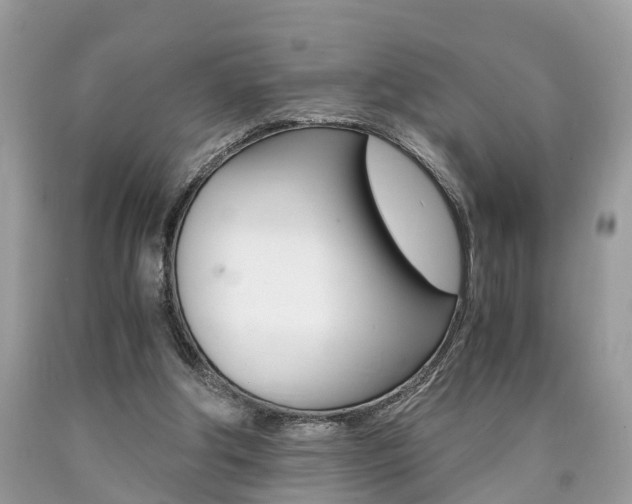X0000090700202200707200936