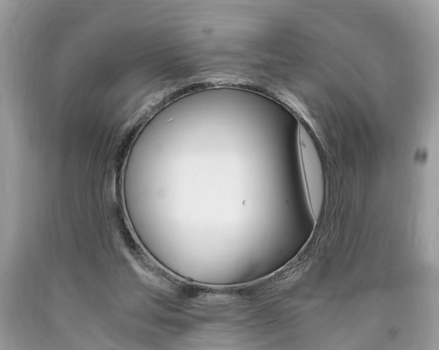 X0000090700205200707200936