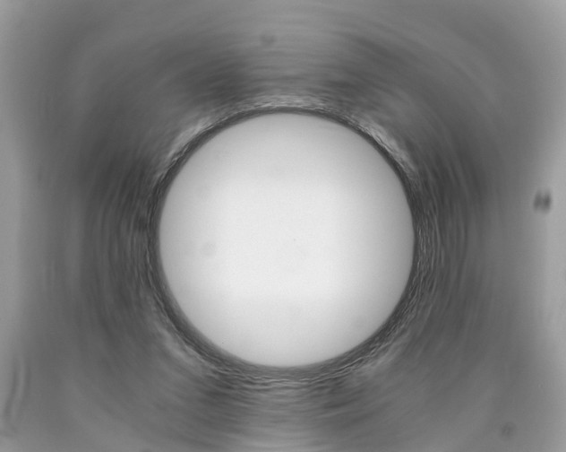 X0000090700207200707200936