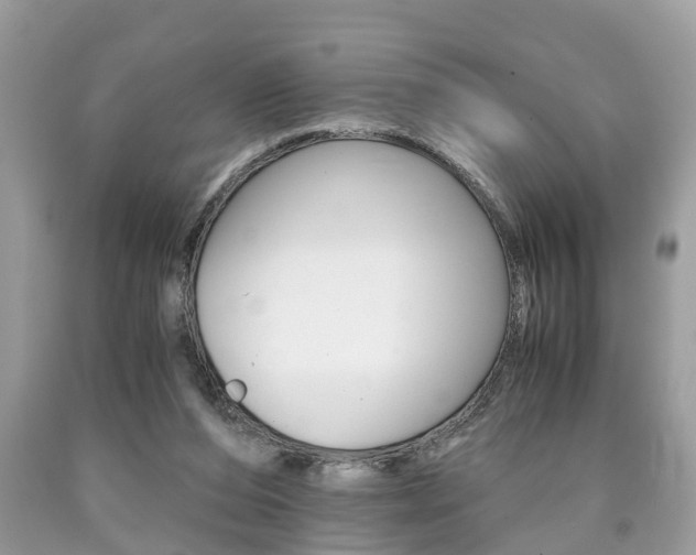 X0000090700208200707200936