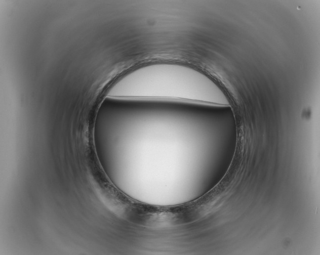 X0000090700212200707200936