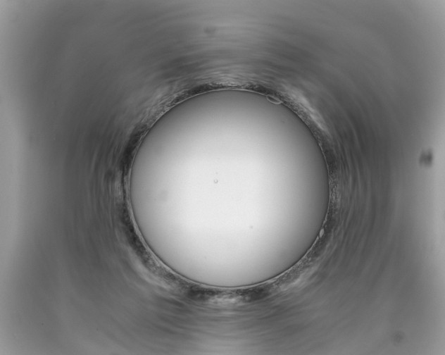 X0000090700213200707200936