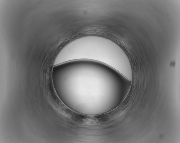 X0000090700215200707200936